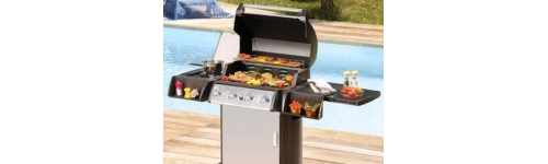 Barbecues et fours